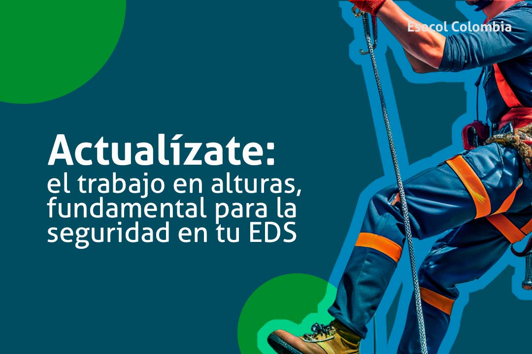 BNN ART AGOS 2024