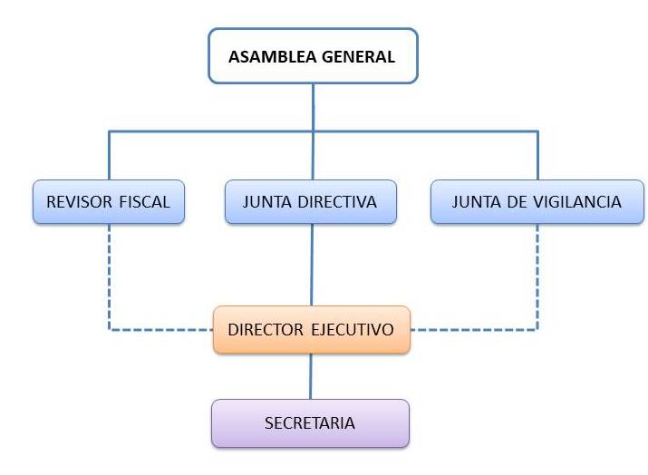 organigrama pantilla 2
