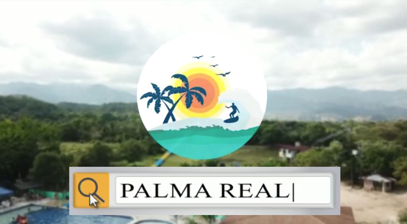 portada palma real
